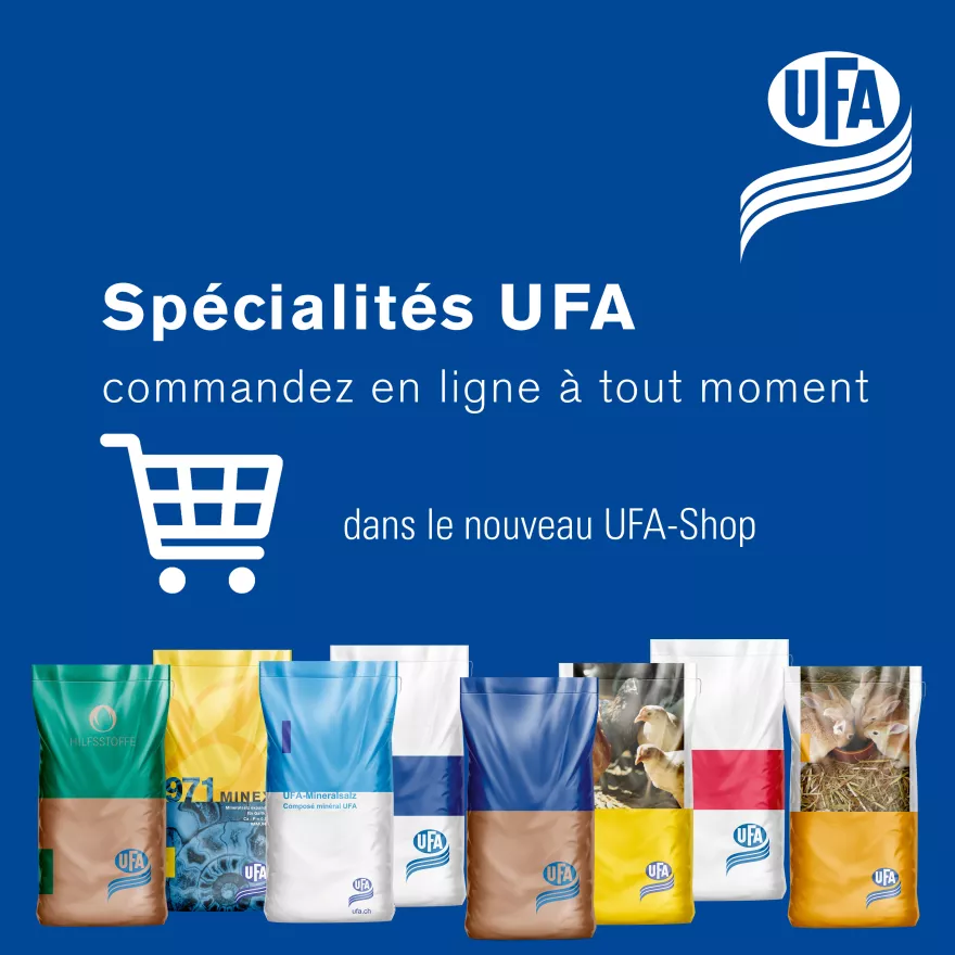 UFA-Shop Shop UFA