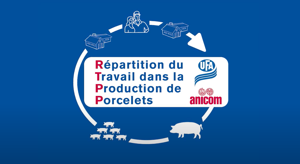 Répartition du travail dans la production de porcelets (RTPP) | UFA