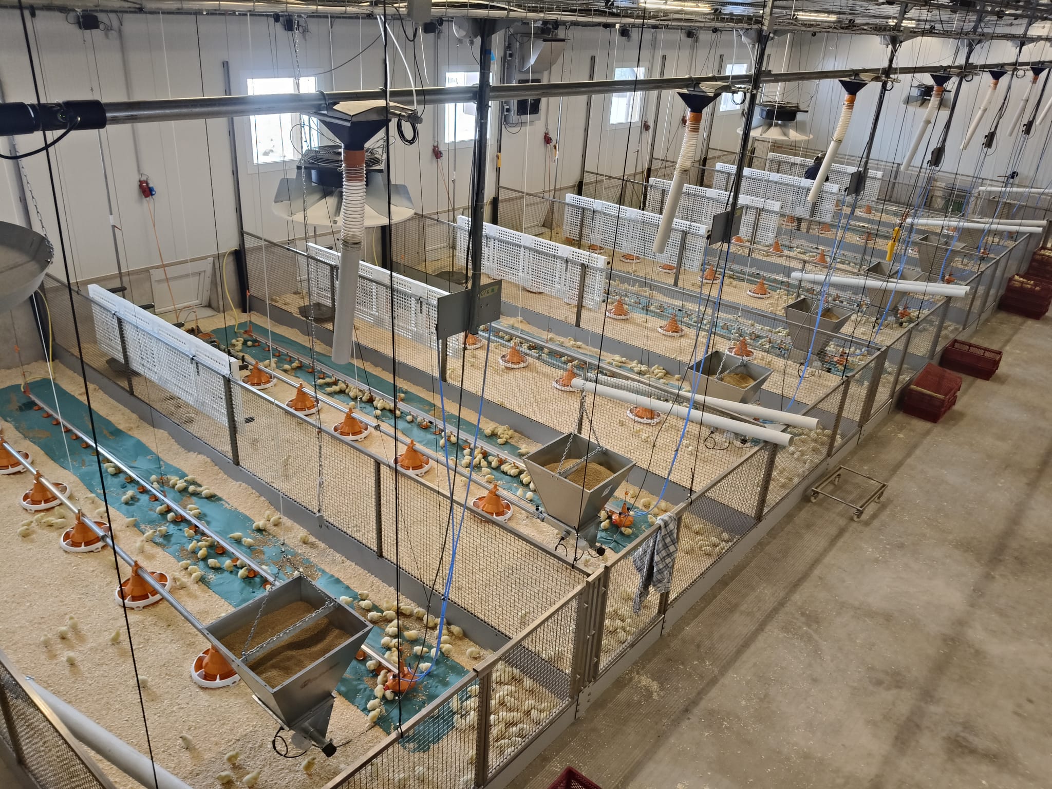 neuer Stall Pouletmast Bühl