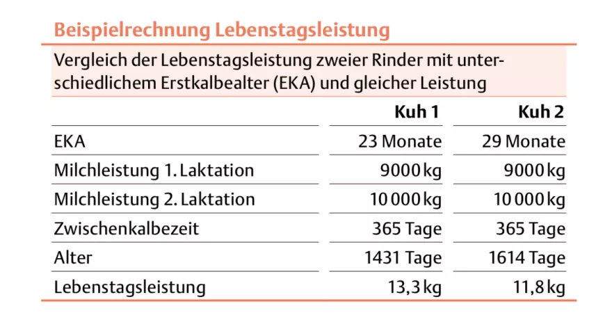 Beispielrechnung Lebenstagsleistung 