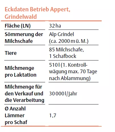 Eckdaten Betrieb Appert Grindelwald