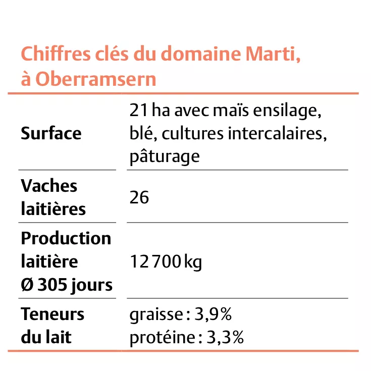 Eckdaten Betrieb Marti, Oberramsern FR