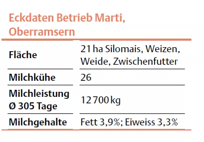 Eckdaten Betrieb Marti, Oberramsern