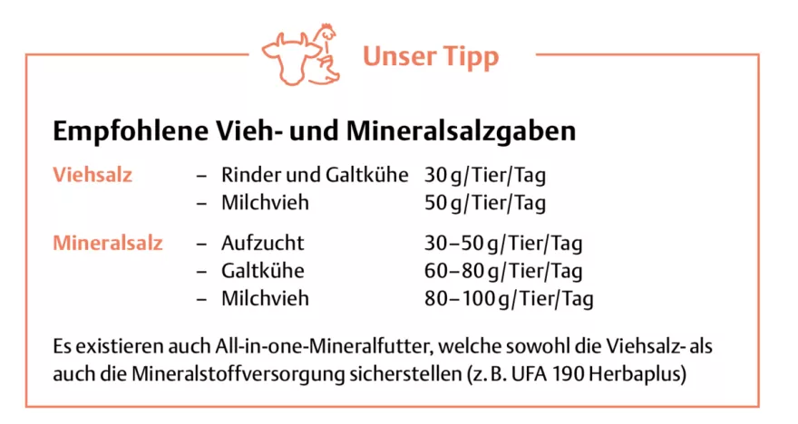 Empfohlene Vieh- und Mineralsalzgaben