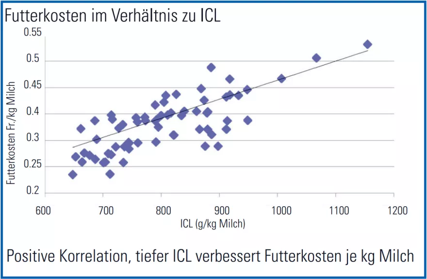 Futterkosten im Verhältnis zu ICL