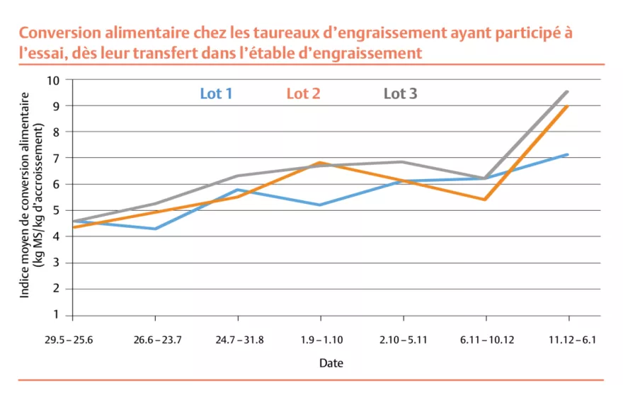 Grafik Futterverwertung Mastmuni FR