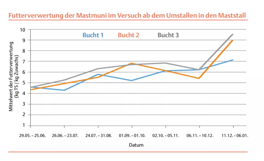 Grafik Futterverwertung Mastmuni