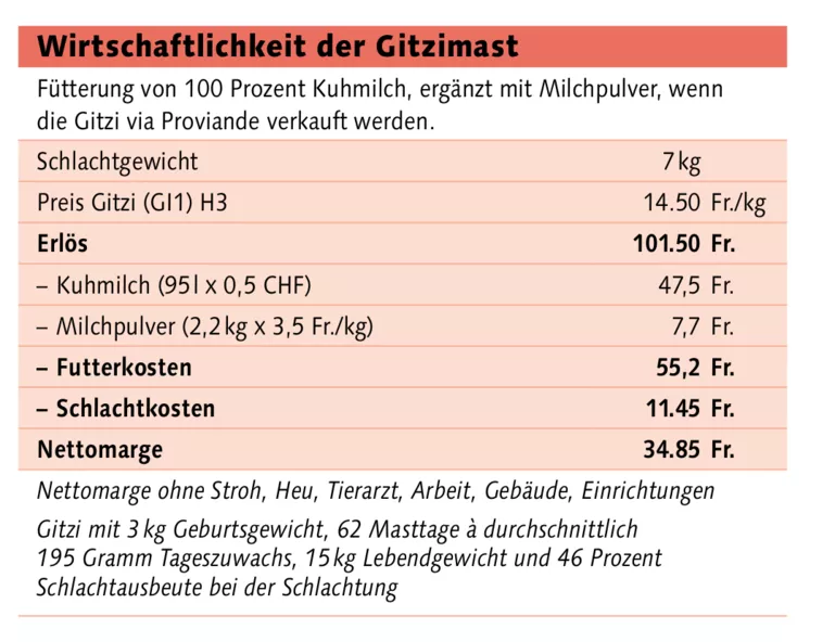 Grafik Gitzimast