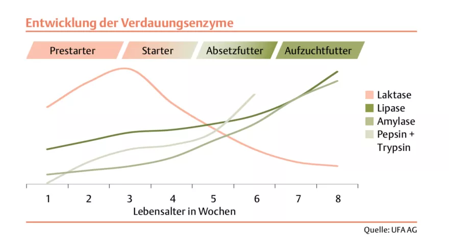 Grafik Schweine Entwicklung Verdauungsenzyme