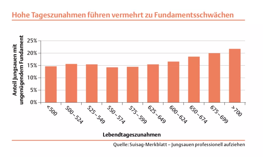 Grafik hohe Tageszunahmen Fundamentsschwächen