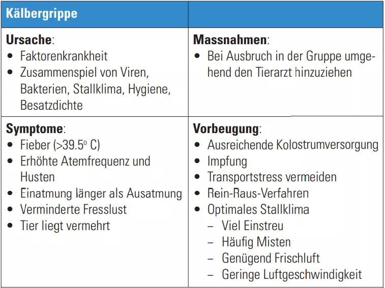 Krankheiten_Kälbergrippe