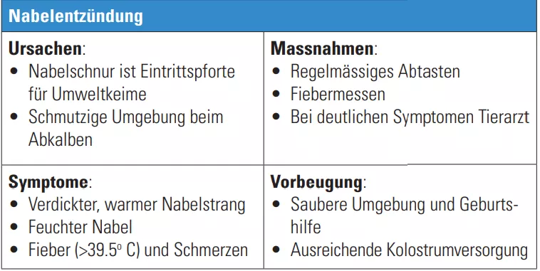 Krankheiten_Nabelentzündung