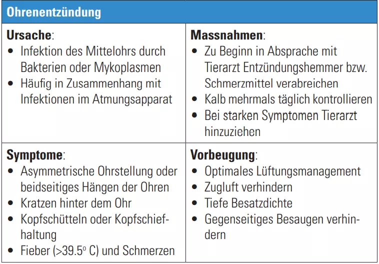 Krankheiten_Ohrenentzündung