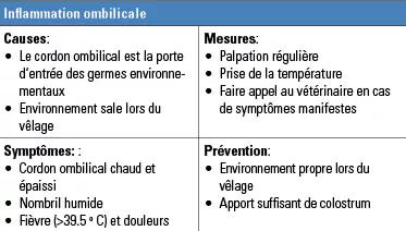 Maladies_Inflammation ombilicale