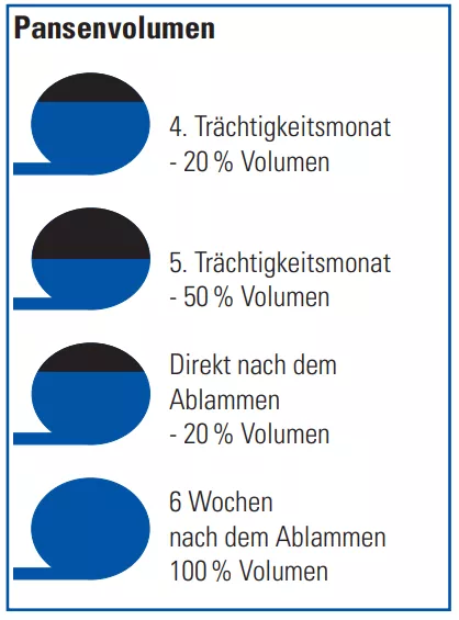 Pansenvolumen