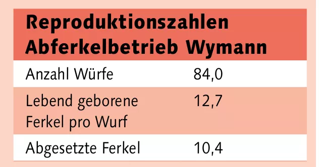 Reproduktionszahlen Abferkelbetrieb Wymann