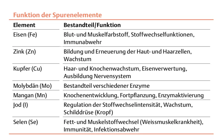 Mineralstoffe und Spurenelemente - Teil 2 (M bis Z)