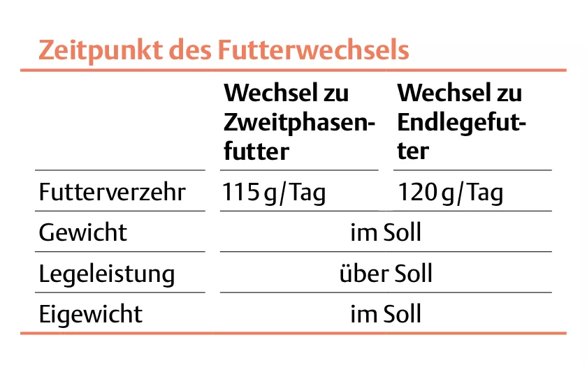 Tabelle Legehennen Zeitpunkt Futterwechsel