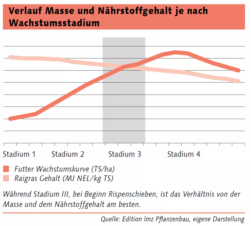 Verlauf Masse und Nährstoffgehalte je nach Wachstumsstadium