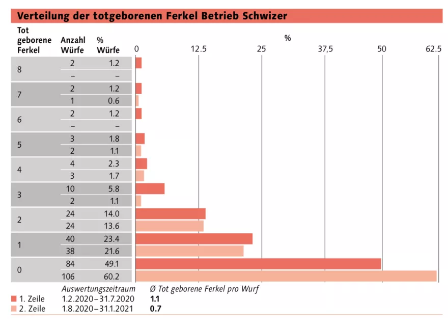 Verteilung totgeborenen Ferkel