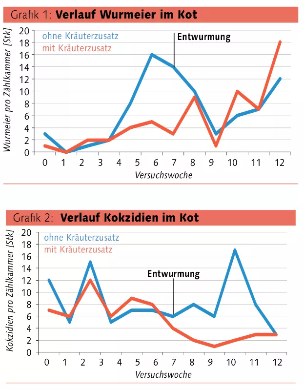 parasitenmanagement schafe