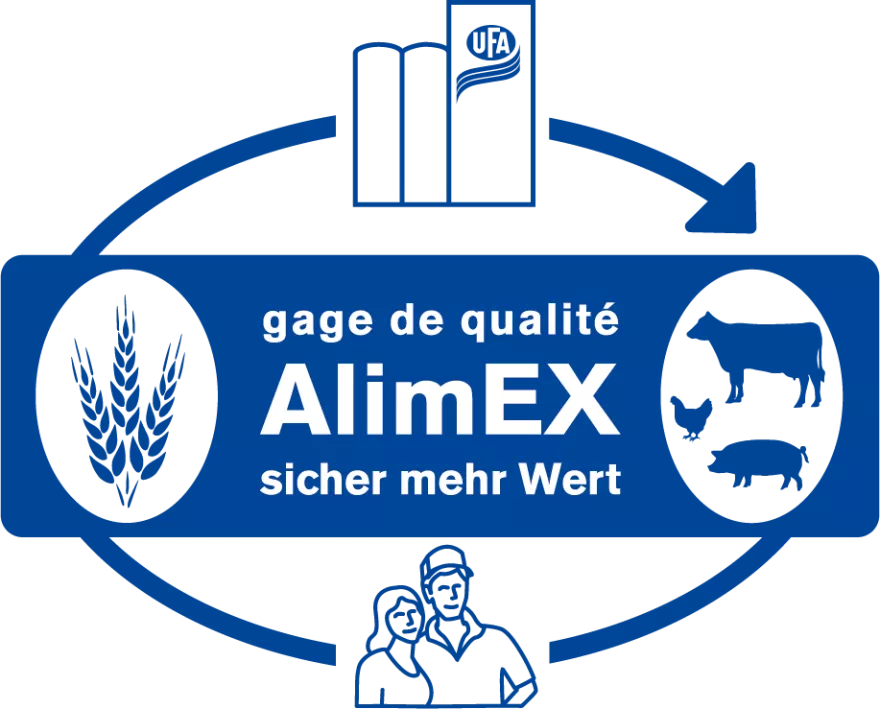 AlimEX Logo
