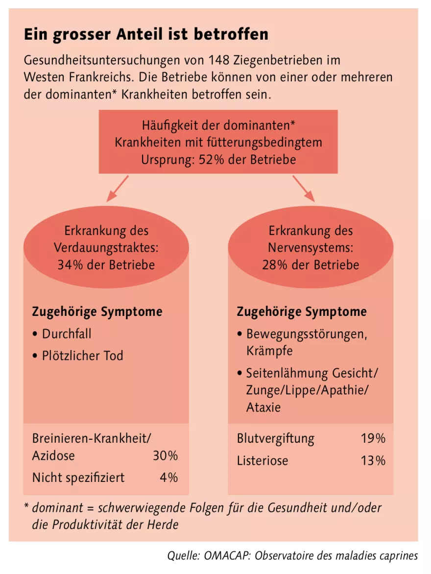 Grafik Krankheiten Ziegen