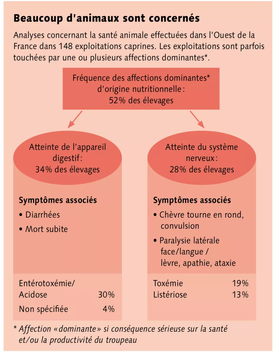 Grafik Krankheiten Ziegen FR