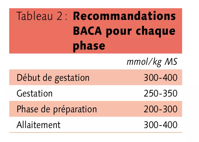 Tableau recommandation BACA