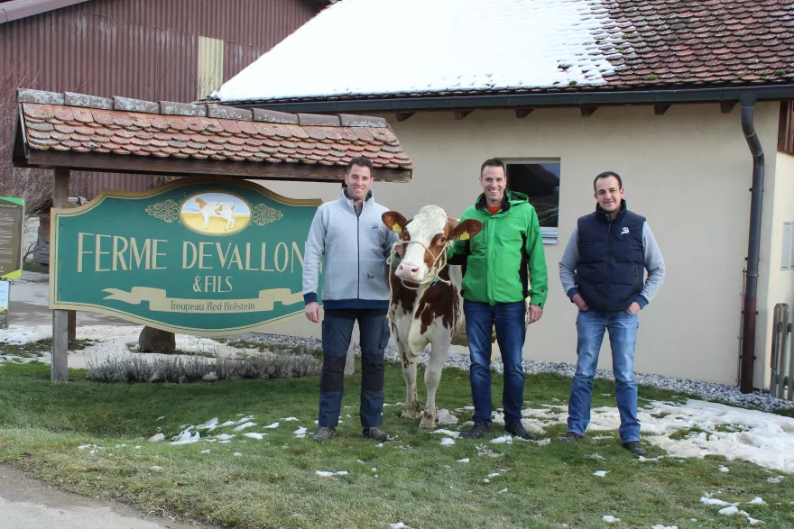 Ferme Devallonné Valentin Maire