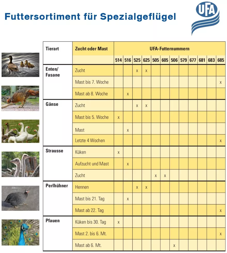 Sortiment Spezialgeflügel