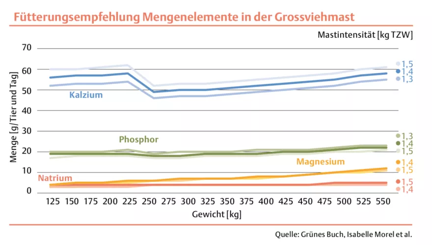 Mengenelemente Grossviehmast