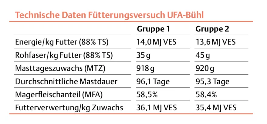 Technische Daten Versuch Bühl