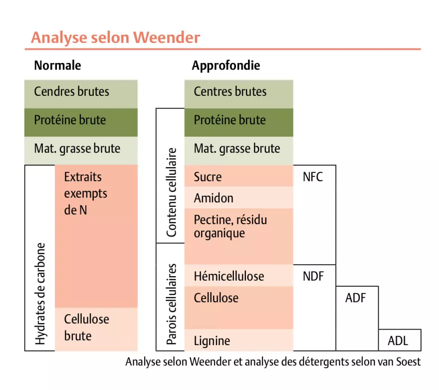 Weender-Analyse FR