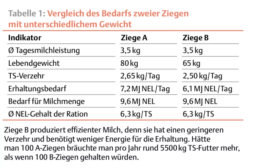 Bedarf Ziegen Vergleich