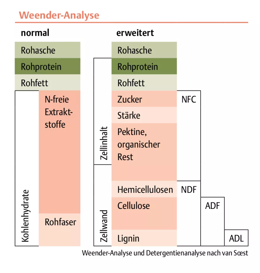 Weender-Analyse