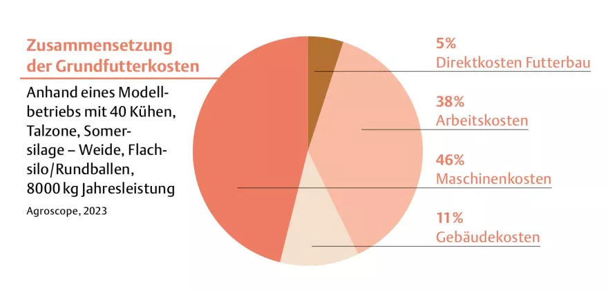 Zusammensetzung Grundfutterkosten