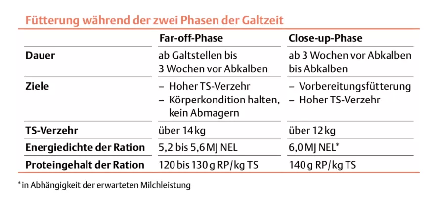 Phasenfütterung, UFA-Revue
