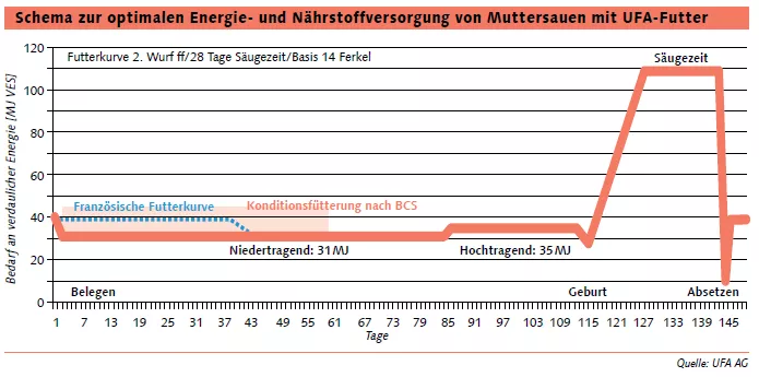 Schema zur optimalen Energie- und Nährstoffversorgung von Muttersauen mit UFA-Futter