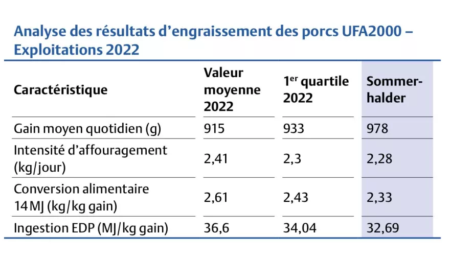 Analyse, UFA-Revue