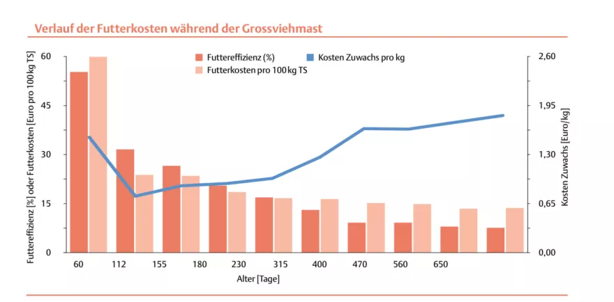 Verlauf der Futterkosten während der Grossviehmast, UFA-Revue