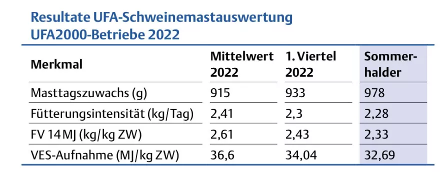 Schweinemastauswertung UFA Revue