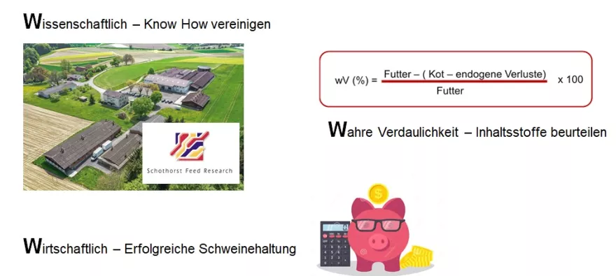 Gesamtheitliches Beratungskonzept für die Schweinefütterung