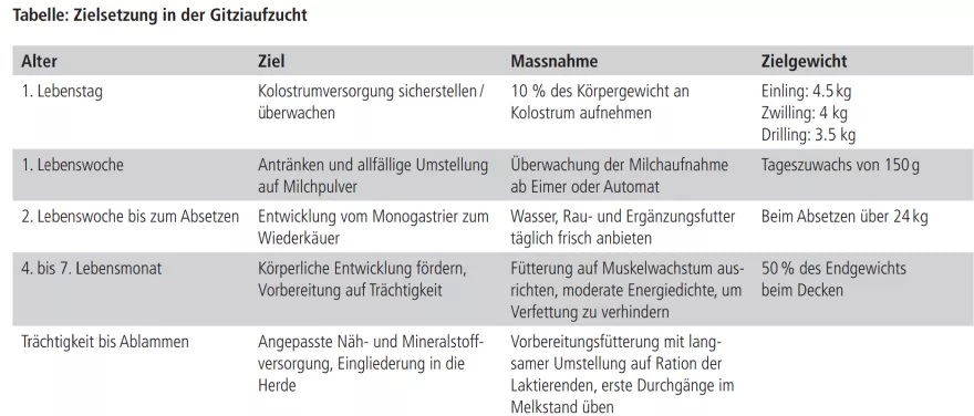 Zielsetzung in der Gitziaufzucht, FORUM