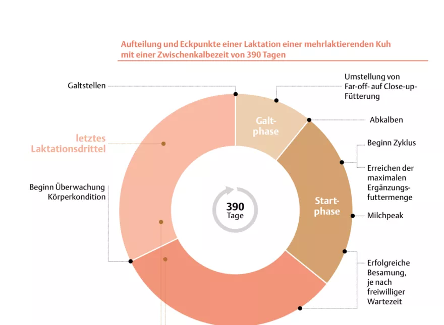 Diagramm, Laktation