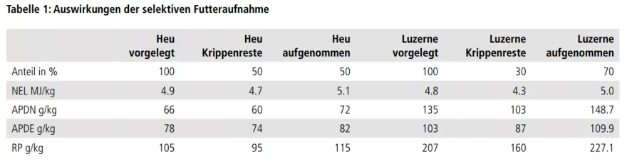 Tabelle