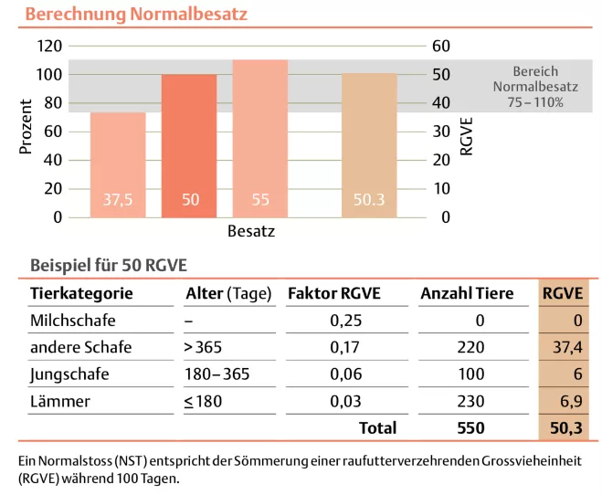 Grafik