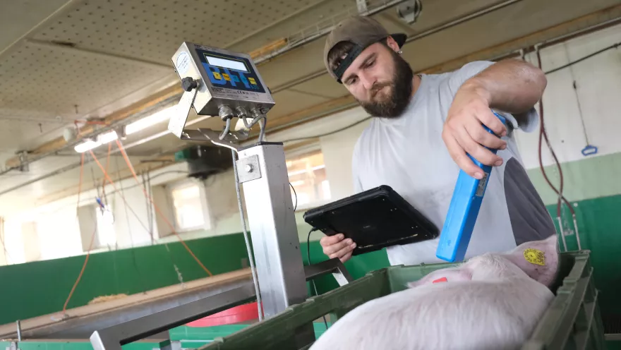 Daniel Jimmi Keusch Bühl 1