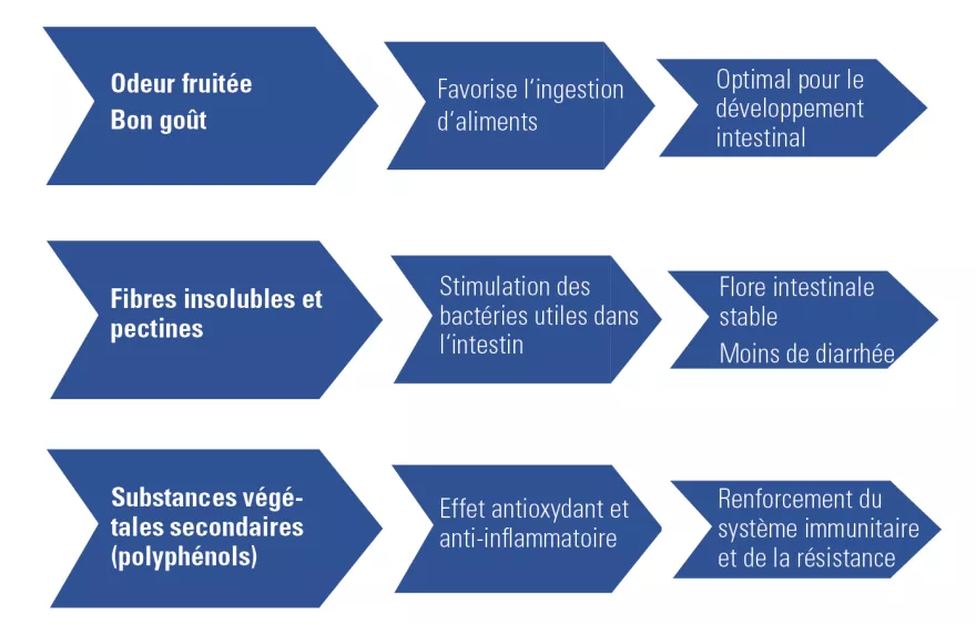 UFA 308-7 / 474-7 Bonne qualité des fèces pendant le sevrage