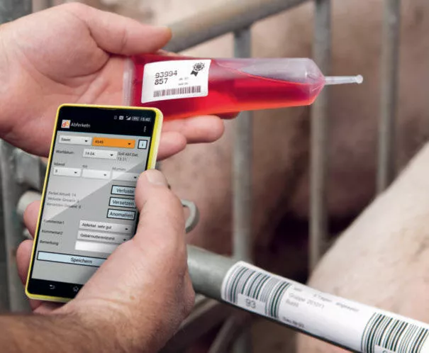 Einfache Datenerfassung via Barcode im Stall mit Solo-Mobil.